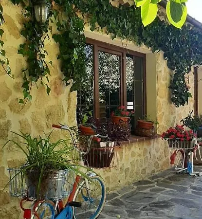 Turisticos Y * Madrona