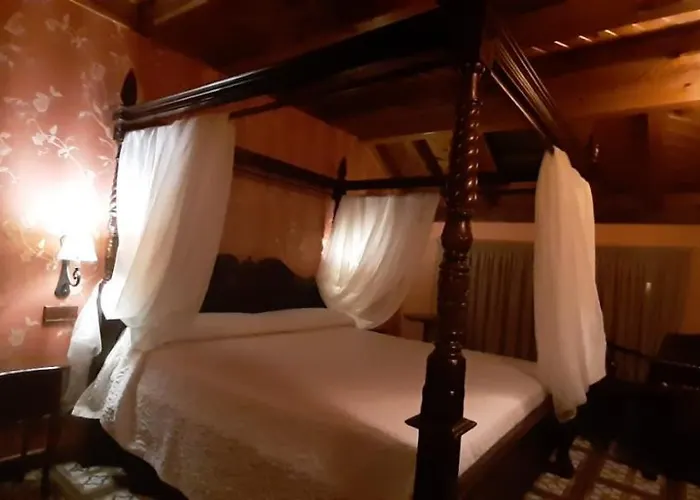 Turisticos Y Hotel Madrona