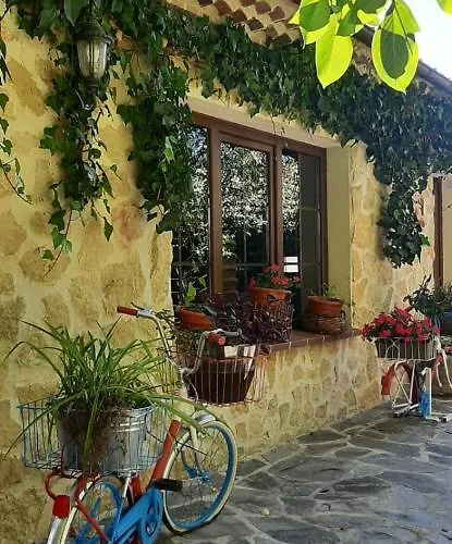 Turisticos Y * Madrona